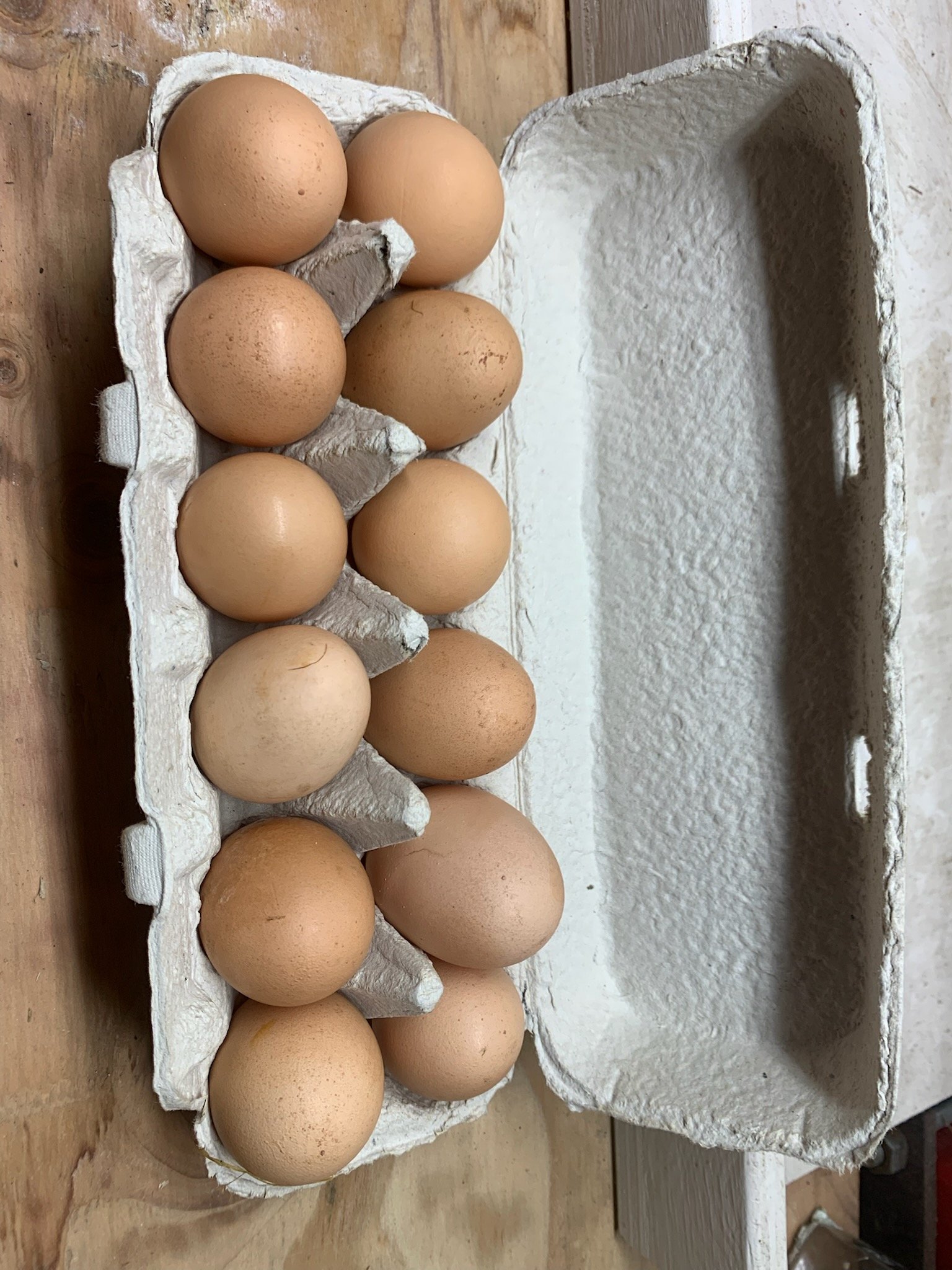 Eggs 12